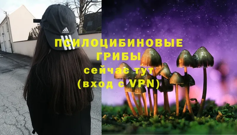 Галлюциногенные грибы MAGIC MUSHROOMS  Красноперекопск 